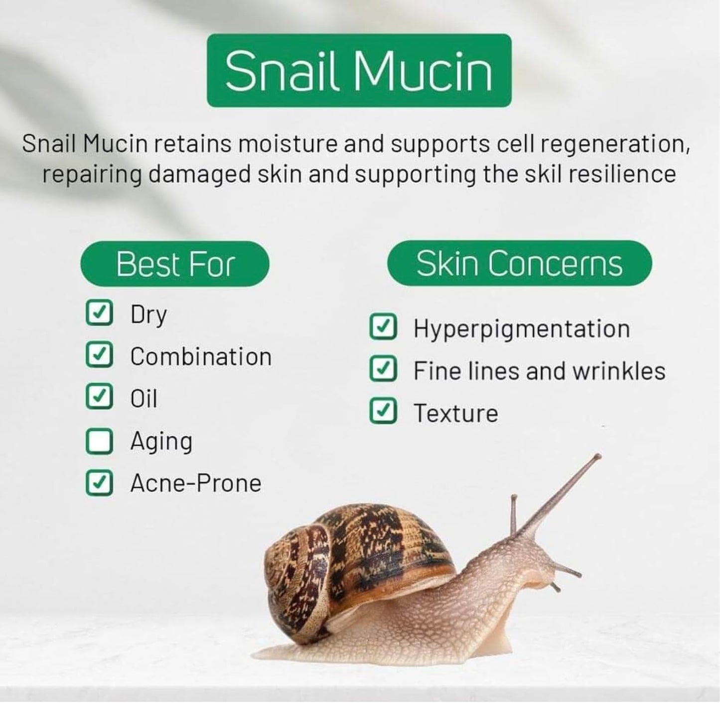 Snail Mucin Moisturizer